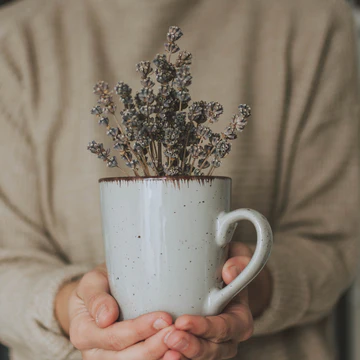 The Guide to Running a Client Discovery Process